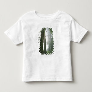 USA, Kalifornien, Redwood-Nationalpark, Kleinkind T-shirt