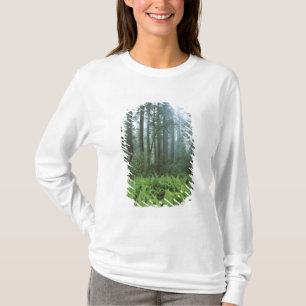 USA, Kalifornien, Redwood NP. Farne und T-Shirt