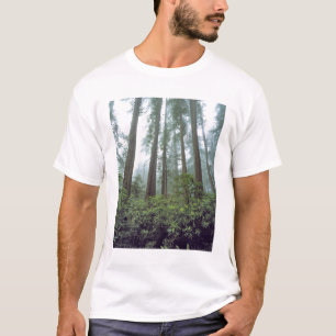 USA, Kalifornien, Redwood NP. Nebelfilter T-Shirt