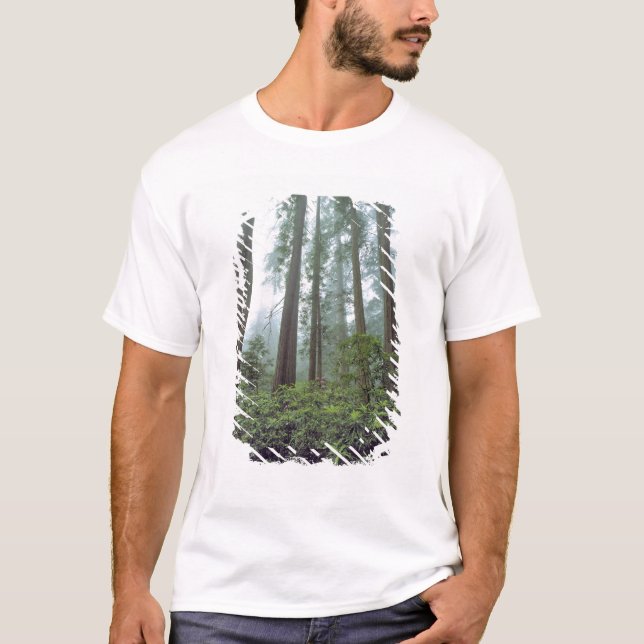 USA, Kalifornien, Redwood NP. Nebelfilter T-Shirt (Vorderseite)