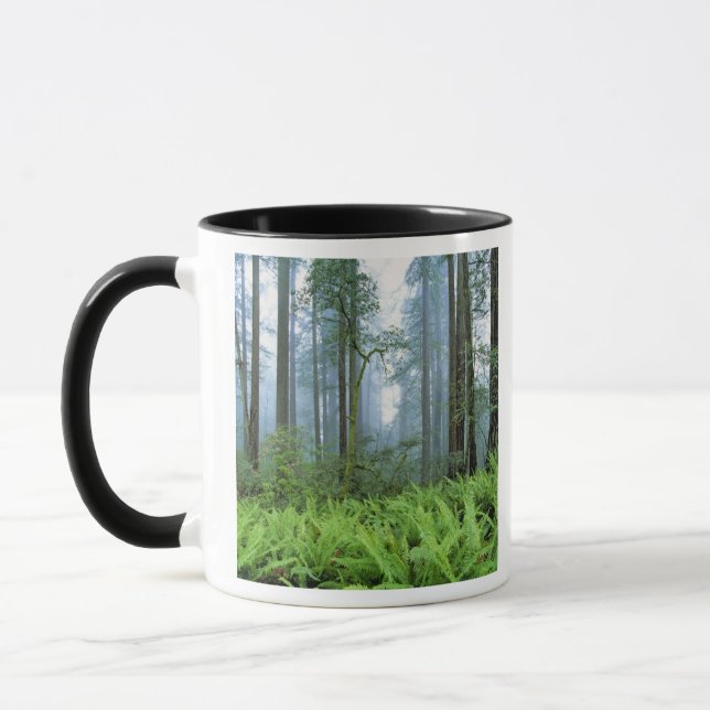 USA, Kalifornien, Redwood NP. Redwood Tasse (Links)