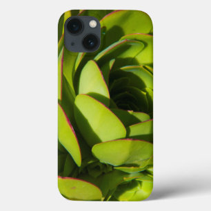 USA, Kalifornien. Riesenlobelia-Pflanze Nah Case-Mate iPhone Hülle