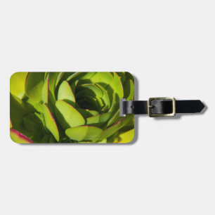 USA, Kalifornien. Riesenlobelia-Pflanze Nah Gepäckanhänger