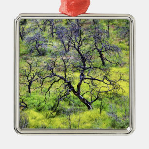 USA, Kalifornien, San Diego. Ein verbrannter Eiche Ornament Aus Metall