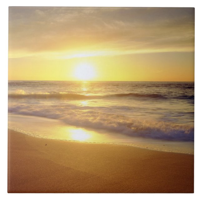 USA, Kalifornien, San Diego. La Jolla-Küste Fliese (Vorderseite)