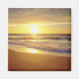 USA, Kalifornien, San Diego. La Jolla-Küste Magnet