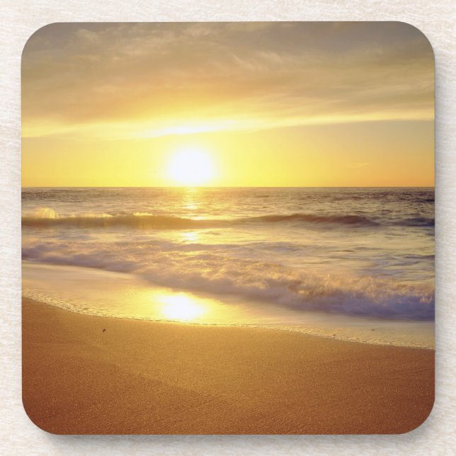 USA, Kalifornien, San Diego. La Jolla-Küste Untersetzer (Vorderseite)