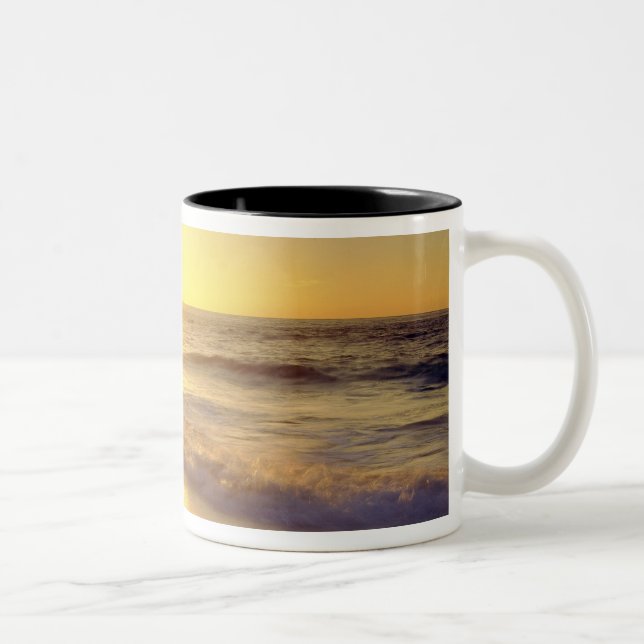 USA, Kalifornien, San Diego. La Jolla-Küste Zweifarbige Tasse (Rechts)