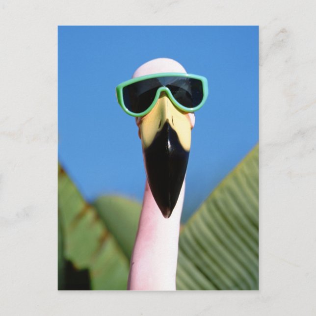 USA, Kalifornien, San Diego. See Postkarte (Vorderseite)