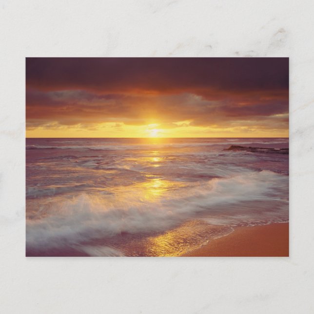 USA, Kalifornien, San Diego. Sunset Cliffs Beach Postkarte (Vorderseite)