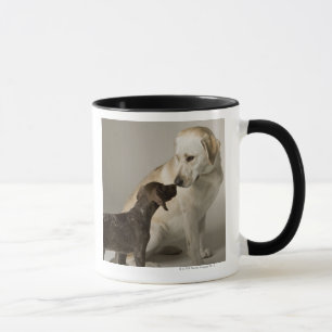 USA, Kalifornien, San Francisco Tasse