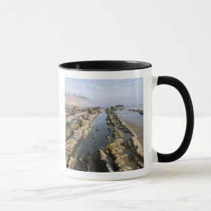USA, Kalifornien, Santa Barbara, Henrys Strand. Tasse