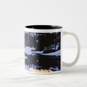 USA, Kalifornien, Sierra Nevada-Gebirge. Die Zweifarbige Tasse