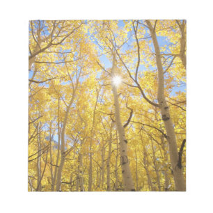 USA, Kalifornien, Sierra Nevada-Gebirge. Herbst Notizblock