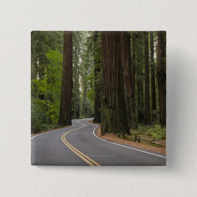 USA, Kalifornien, Straße durch Rotholzwald Button (Vorderseite)