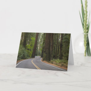 USA, Kalifornien, Straße durch Rotholzwald Karte