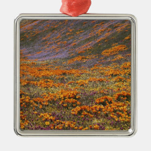 USA, Kalifornien, Tehachapi-Gebirge, 2 Silbernes Ornament