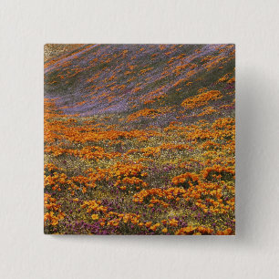 USA, Kalifornien, Tehachapi Mountains, 2 Button