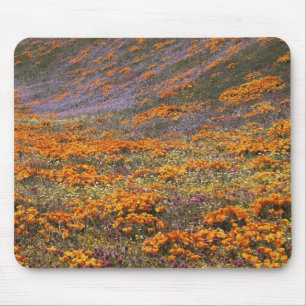 USA, Kalifornien, Tehachapi Mountains, 2 Mousepad