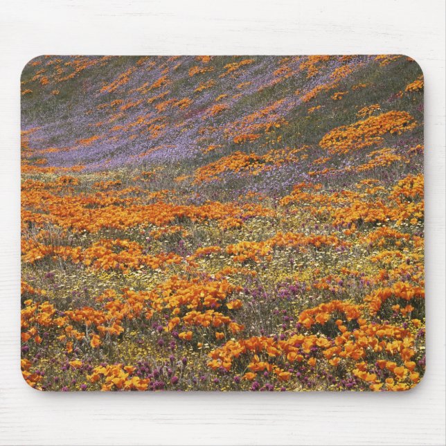 USA, Kalifornien, Tehachapi Mountains, 2 Mousepad (Vorne)