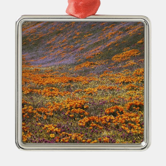 USA, Kalifornien, Tehachapi Mountains, 2 Silbernes Ornament (Vorne)