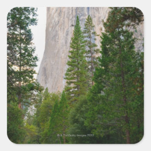 USA, Kalifornien, Yosemite National Park, El 4 Quadratischer Aufkleber