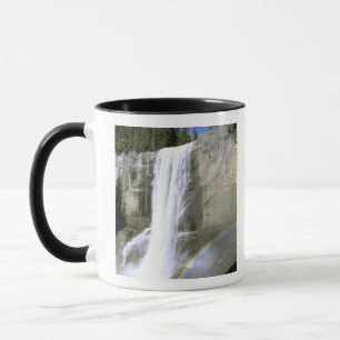 USA, Kalifornien, Yosemite National Park. Vernein Tasse