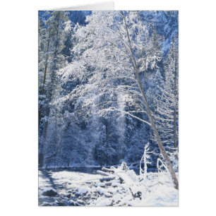 USA, Kalifornien, Yosemite-Nationalpark, 2