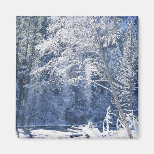 USA, Kalifornien, Yosemite-Nationalpark, 2 Magnet