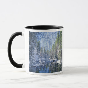 USA, Kalifornien, Yosemite-Nationalpark, Tasse