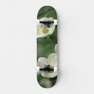 USA, Kalifornien, Yosemite NP, entlang des Merced Skateboard