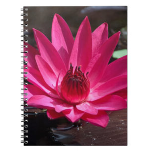 USA, Kansas, Bright Red Water Lilly Notizblock