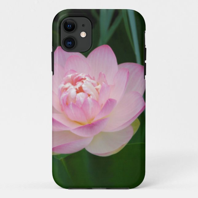 USA, Kansas, Pink Water Lilly Case-Mate iPhone Hülle (Rückseite)