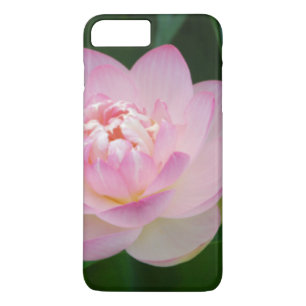 USA, Kansas, Pink Water Lilly Case-Mate iPhone Hülle