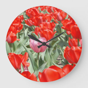 USA, Kansas, Red Tulips mit einem rosa Tulip Große Wanduhr