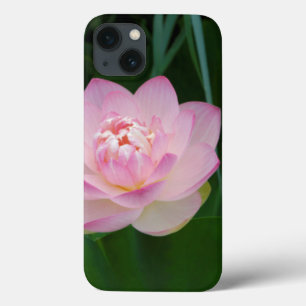 USA, Kansas, Rosa Wasserlilie Case-Mate iPhone Hülle
