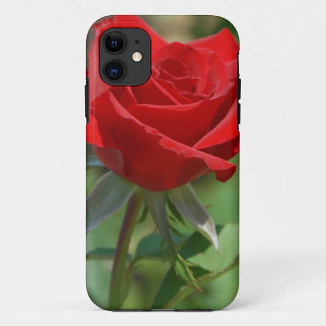 USA, Kansas, Rote Rose Case-Mate iPhone Hülle (Rückseite)