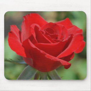 USA, Kansas, Rote Rose Mousepad