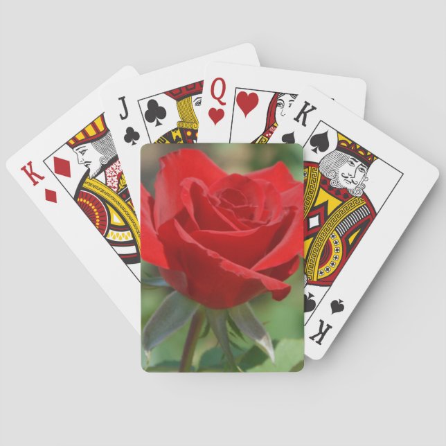 USA, Kansas, Rote Rose Spielkarten (Rückseite)