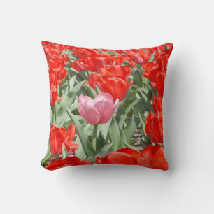 USA, Kansas, rote Tulpen mit einer rosa Tulpe Kissen