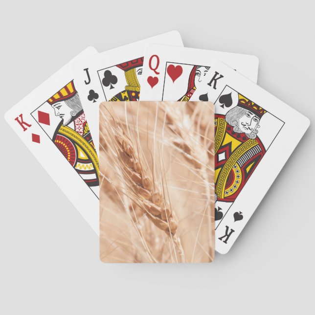 USA, Kansas, Weizen zur Ernte-Zeit Spielkarten (Rückseite)