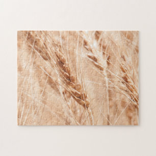 USA, Kansas, Weizen zur Erntezeit Puzzle