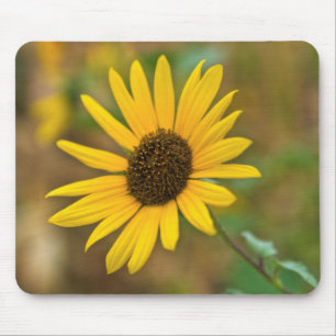 USA, Kansas. Wilde Sonnenblume Mousepad