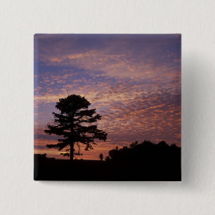 USA, Kentucky, Cumberland Gap National Button