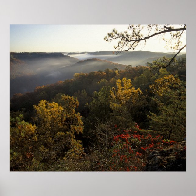 USA, Kentucky Daniel Boone National Forest. Poster (Vorne)