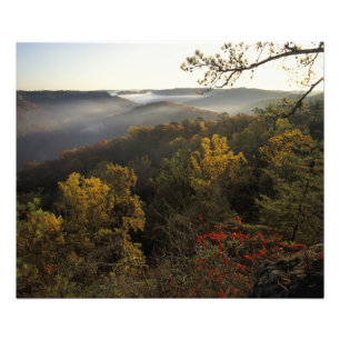 USA, Kentucky. Daniel Boone Nationalforst. Fotodruck