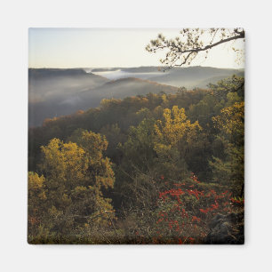 USA, Kentucky. Daniel Boone Nationalwald. Magnet