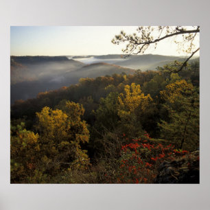 USA, Kentucky. Daniel Boone Nationalwald. Poster