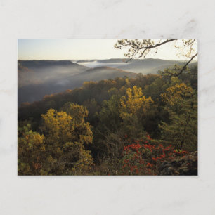 USA, Kentucky. Daniel Boone Nationalwald. Postkarte