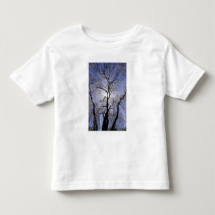 USA, Kentucky, Lexington. Gegenlicht Baum und Kleinkind T-shirt